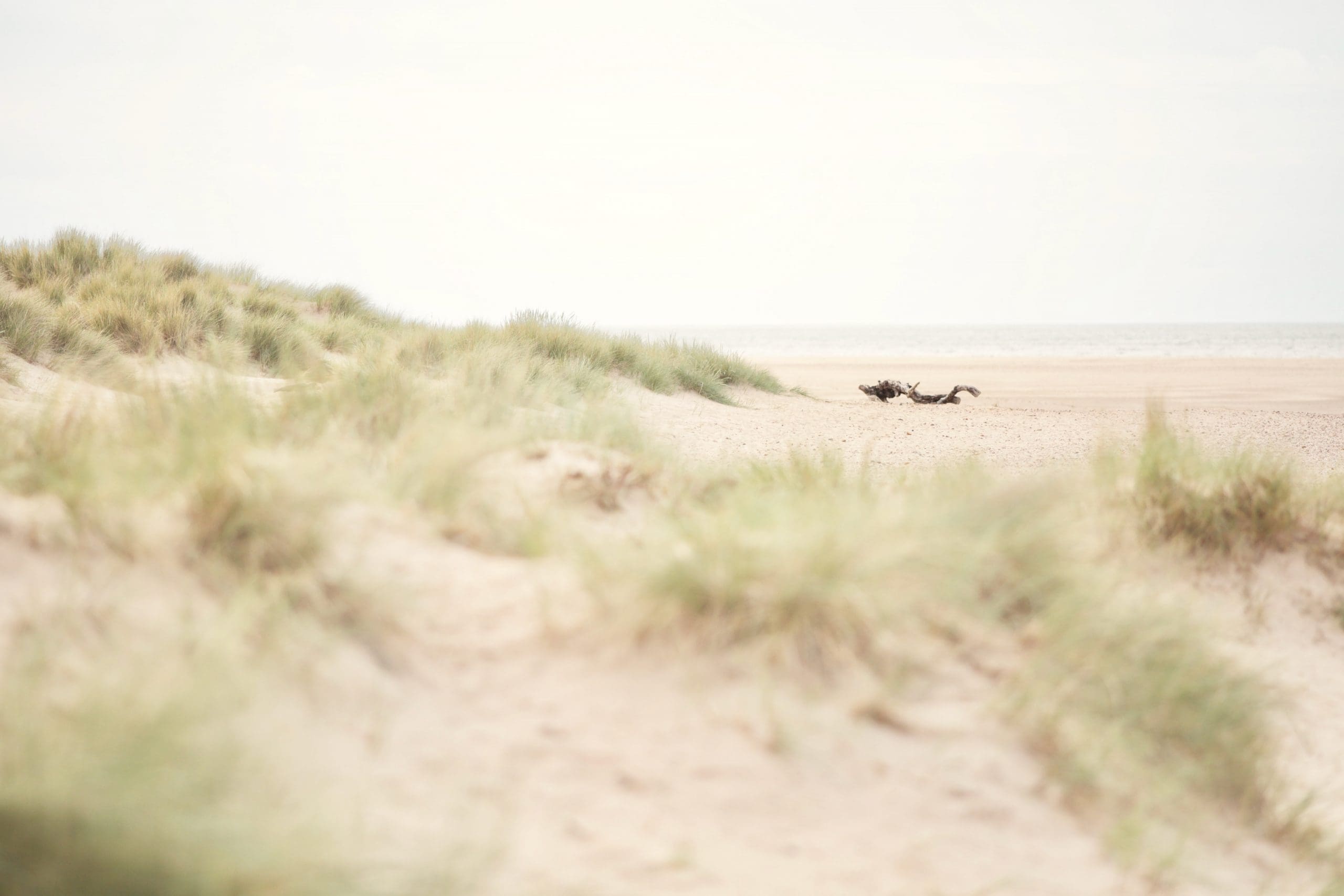 Sand out from the crowd