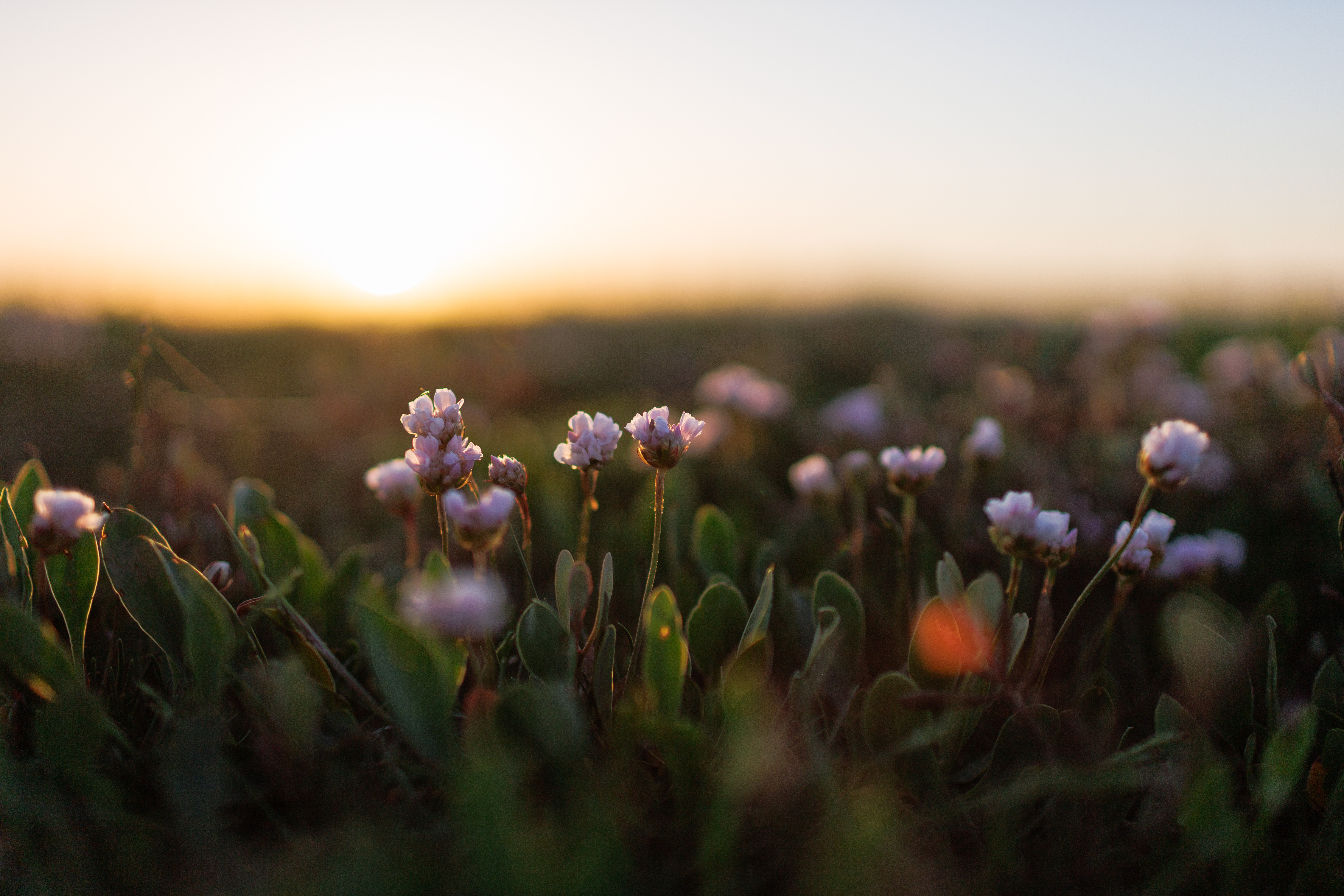 Things To Do in Norfolk This Summer | The Harper Hotel