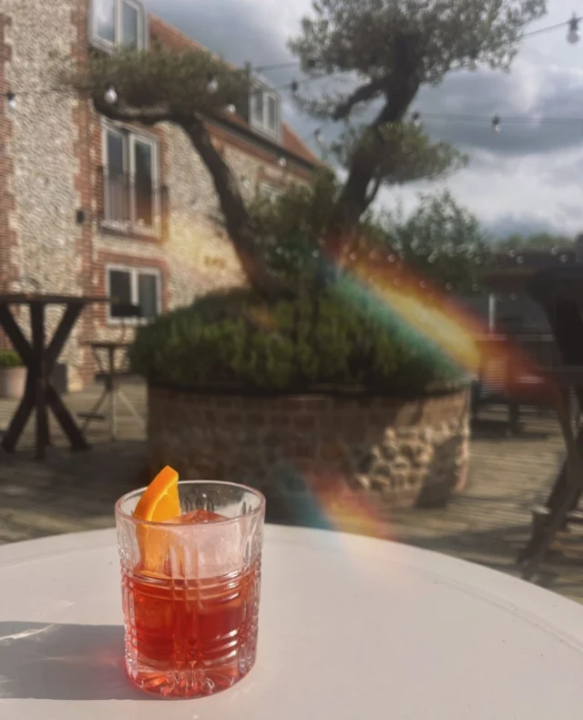 What's your perfect cocktail? We figure you cannot go wrong with a classic Negroni.